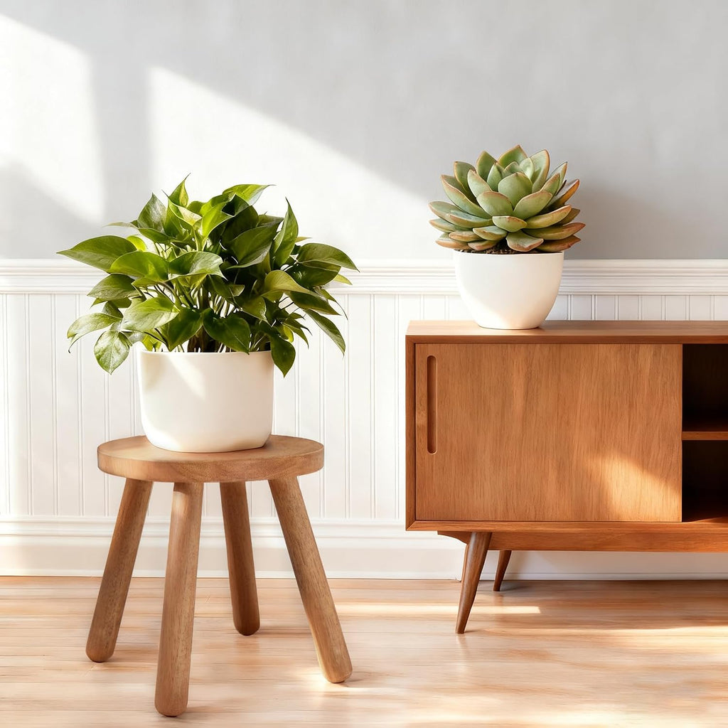Round Solid Wood Decor Plant Stool